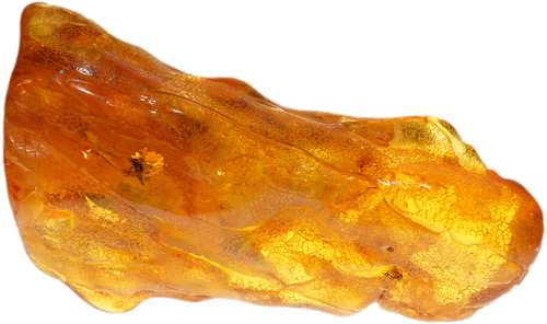 31,60 g Amber nugget (2)