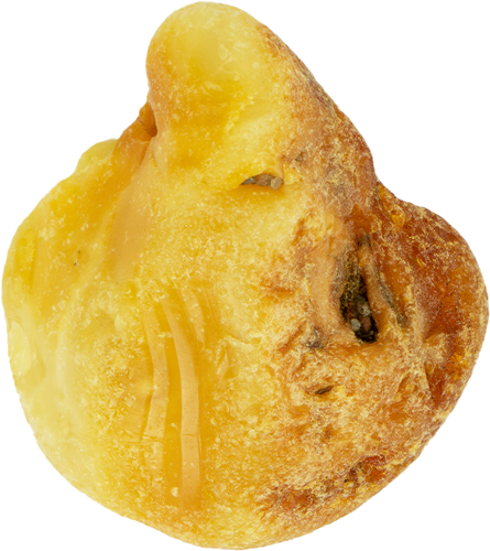 10,60 g Jūras dzintara tīrradnis (2)