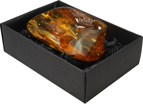 41,75 g Amber nugget with inclusion (2)