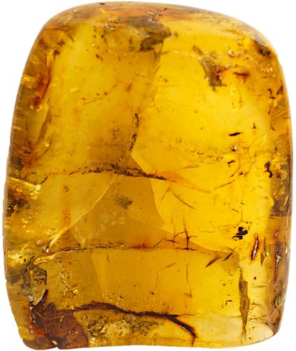 158 g Gintaro grynuolis (2)