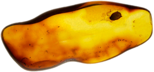 1,60 g Amber Nugget with inclusion (1)