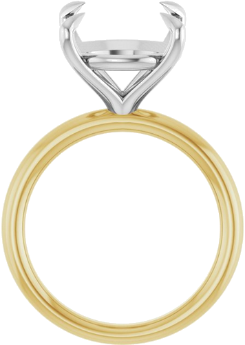 Sužadėtuvių Žiedas „Claw-Prong Solitaire“ 14k yellow/white gold Round 13mm (2)