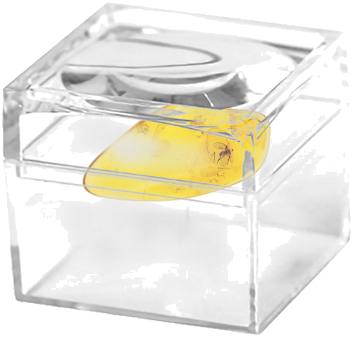 0,95 g Dzintara tīrradnis ar inkrustāciju (2)