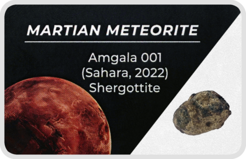 Martian Meteorite (1)