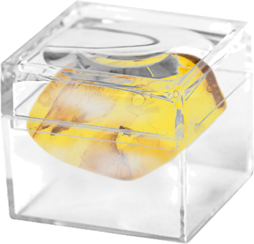 1,25 гр. Самороден кехлибар с фосил (2)