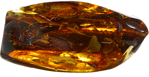 58,95 g Amber nugget with tree branch inclusion (1)