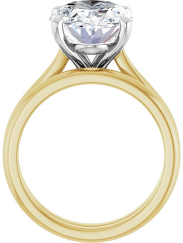 Sužadėtuvių Žiedas 14k yellow/white gold Oval 14mm x 10mm (7)