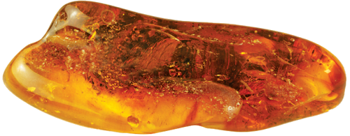 6,40 g Amber Nugget with inclusion (1)