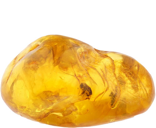 Самородок янтаря с инклюзом 21,60 г (1)