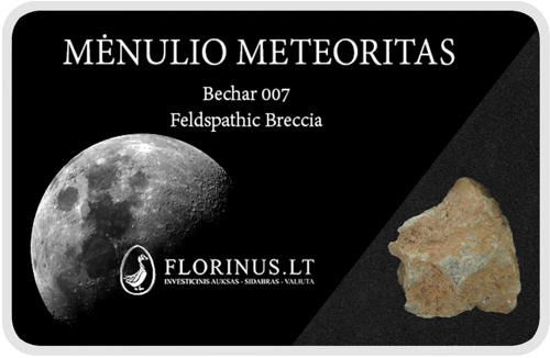 Lunar Meteorite (1)