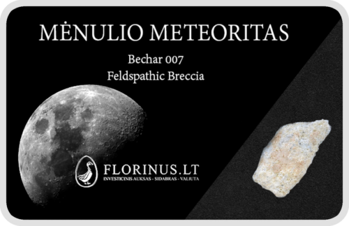 Lunar Meteorite (1)