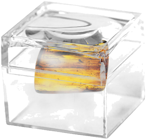 2,55 g Gintaro grynuolis su inkliuzu (2)