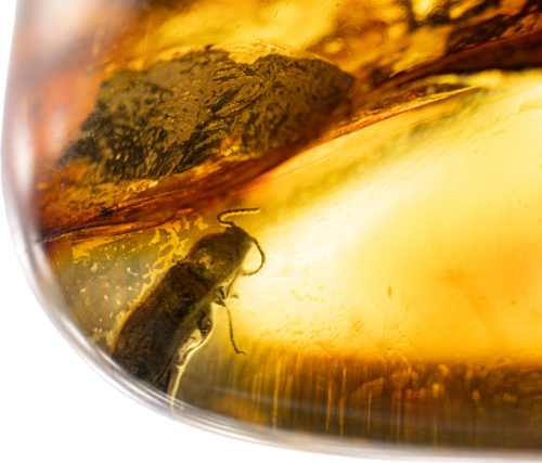 20,65 гр. Самороден кехлибар с фосил (2)