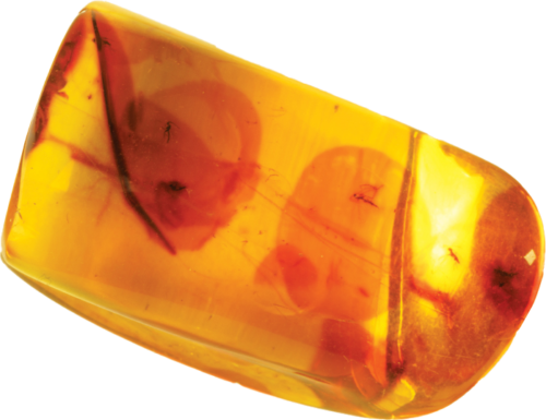 15,65 g Gintaro grynuolis su inkliuzu (1)