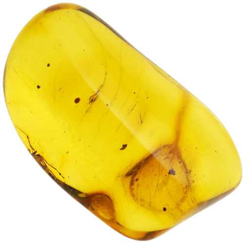 0,75 g Gintaro grynuolis su inkliuzu (1)