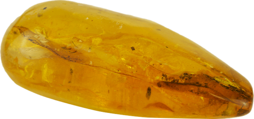 13,05 g Amber nugget with inclusion (4)