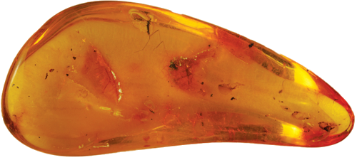 6,25 g Amber Nugget with inclusion (1)