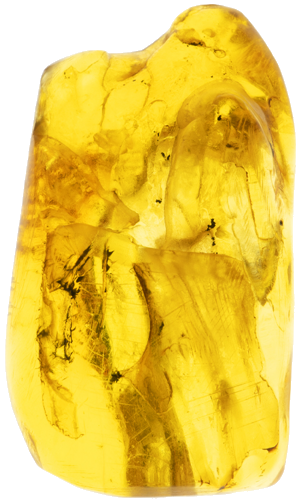 2,70 g Gintaro grynuolis su inkliuzu (1)