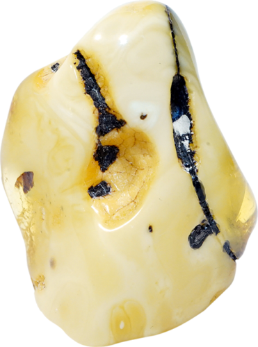 12,90 g Gintaro grynuolis (1)