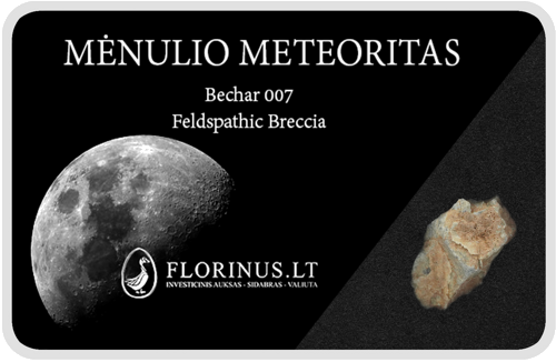 Mėnulio meteoritas (1)
