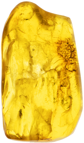 2,70 g Gintaro grynuolis su inkliuzu (4)