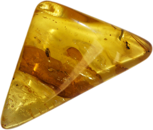 13 g Amber Nugget with bug and fly inclusions (1)