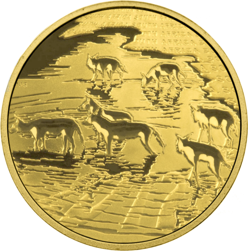 20 Rand African Wild Dog 2012 South Africa Gold Coin (2)