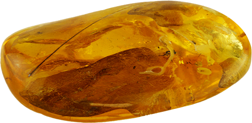 22,15 g Amber Nugget with fly inclusion (2)