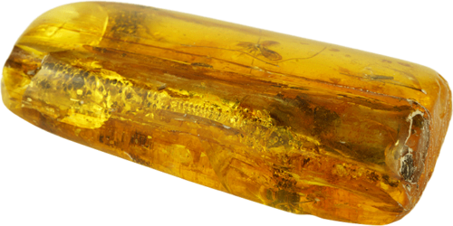 18,75 g Amber nugget with butterfly inlay (3)