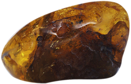 69,90 g Gintaro grynuolis (2)
