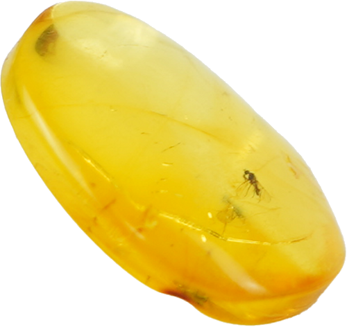 0,55 g Gintaro grynuolis su inkliuzu (3)