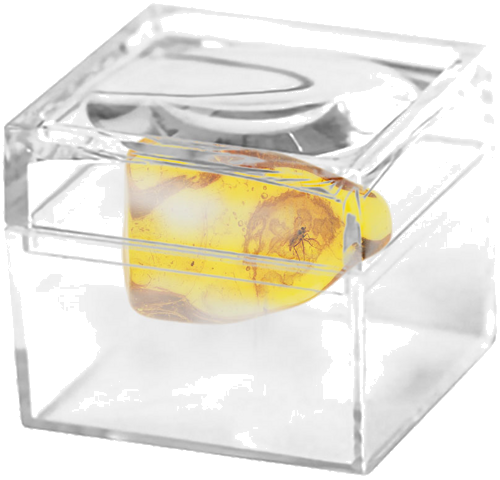 1,90 g Amber Nugget with inclusion (2)