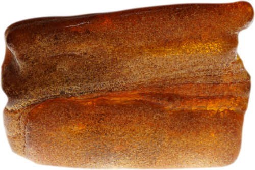 31,60 g Amber nugget (1)