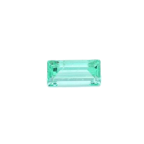 0.89 carat GREEN STEP cut Other Smaragdas (1)