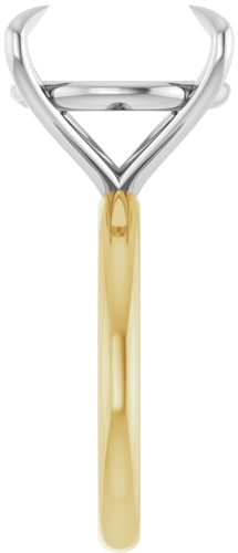 Sužadėtuvių Žiedas „Claw-Prong Solitaire“ 14k yellow/white gold Round 16mm (4)