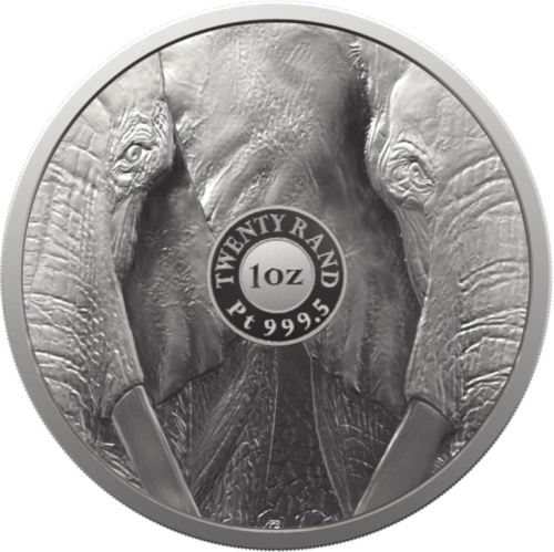 1 oz Zilonis (Lielais pieci II) 2021 Dienvidāfrika Platīna Proof (2)