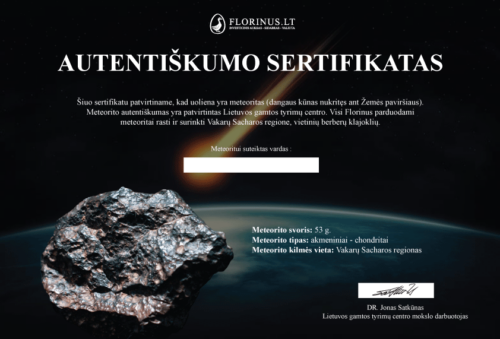 Метеорит 53 г (9)