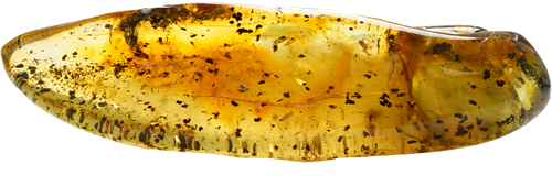 59,15 g Amber nugget with inclusions (1)