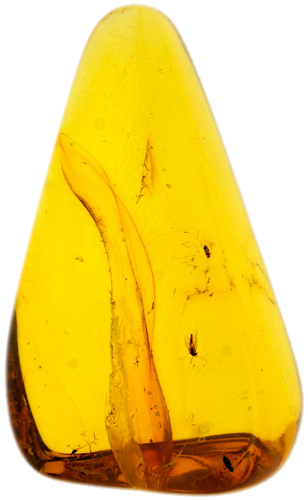 Самородок янтаря с инклюзом 2,85 г (1)