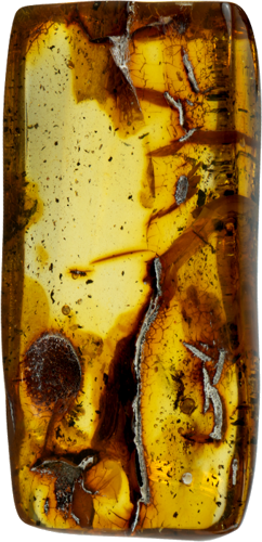 14,85 g Amber nugget (2)