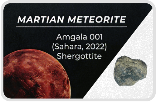 Марсиански метеорит (1)