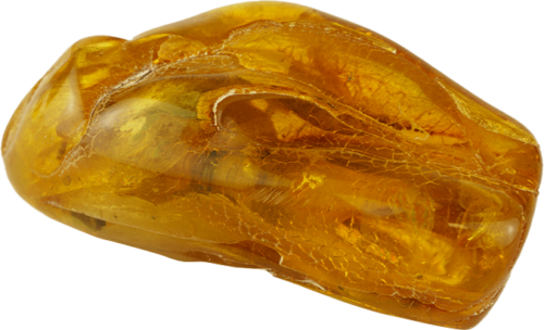 12,60 g Amber nugget with butterfly inclusion (3)