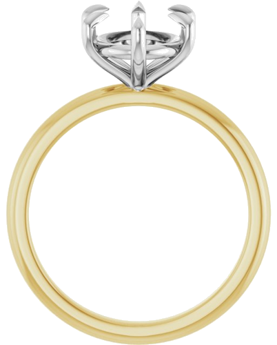 Sužadėtuvių Žiedas „Claw-Prong“ 14k yellow/white gold Oval 10mm x 8mm (2)