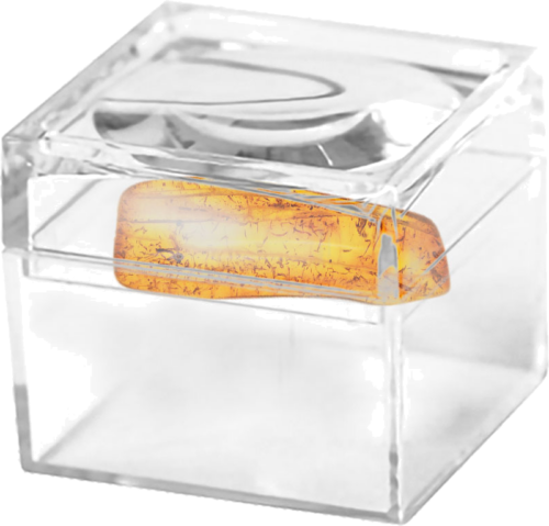 1,30 гр. Самороден кехлибар с фосил (2)