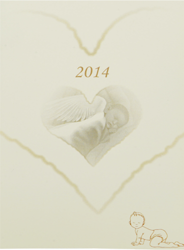 1/2 oz Новорожденный Виргинские острова серебряная монета (8)