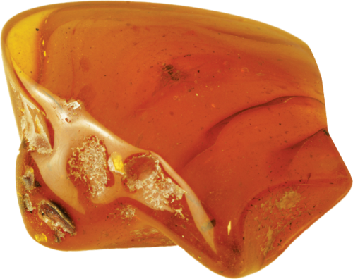10,95 g Amber Nugget with inclusion (3)