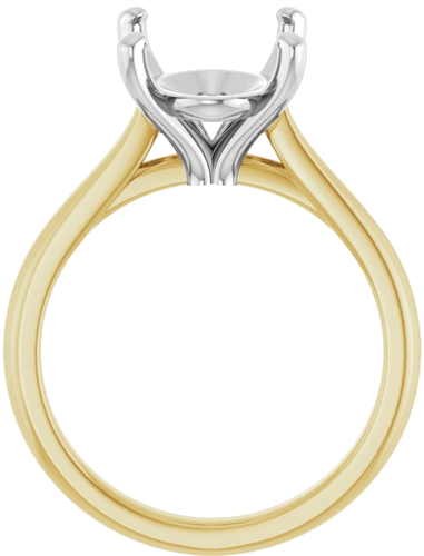 Sužadėtuvių Žiedas 14k yellow/white gold Oval 14mm x 10mm (2)