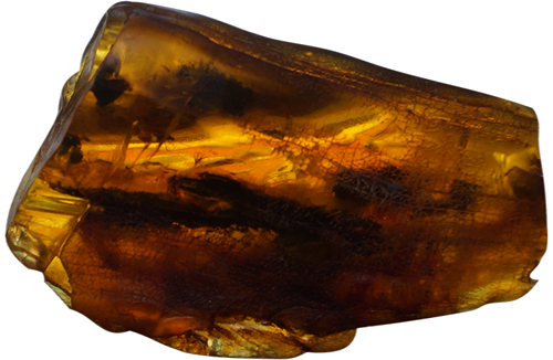 47 g Gintaro grynuolis su inkliuzu (1)