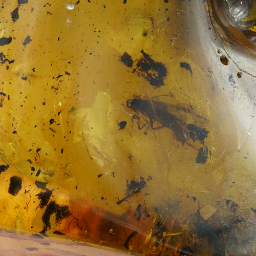 Самородок янтаря с инклюзом 39,25 г (3)