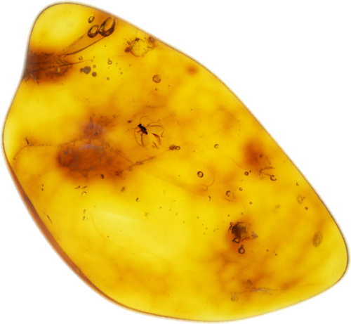 2,00 g Amber Nugget with inclusion (1)